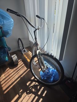 Schwinn adult scooter