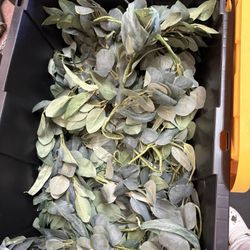 Eucalyptus Garland