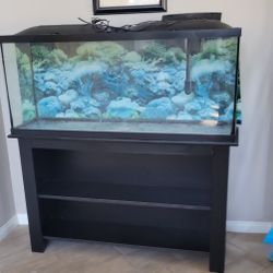 Aquarium/Reptile Tank (Has Leak)