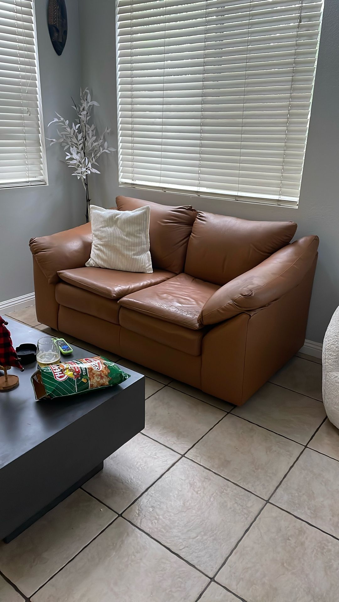 Free Leather Loveseat