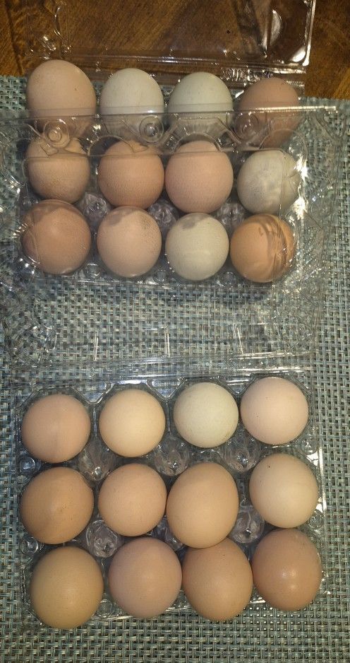 A dozen Eggs