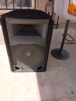 Pyle speaker