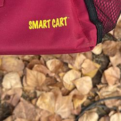 Extra Large Rolling “Smart Cart”