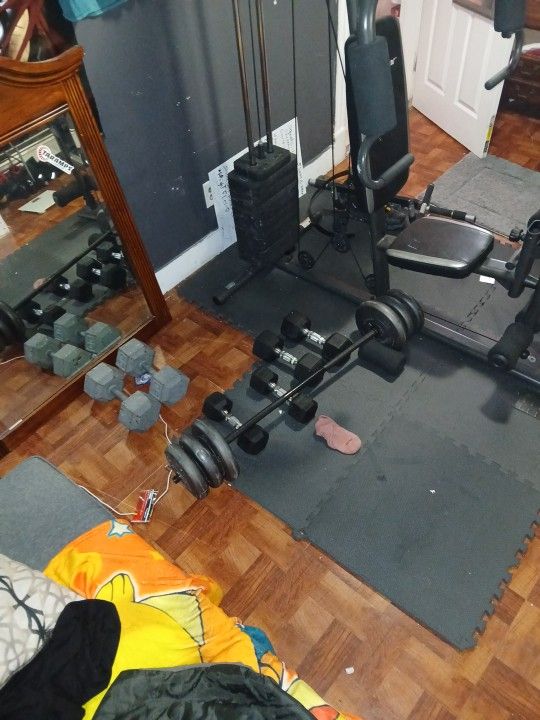 Whole Gym Plus Weights 