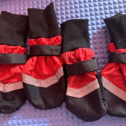 Dog Shoes