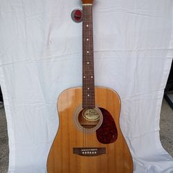 Tyler Mountain Acoustic Guitar 