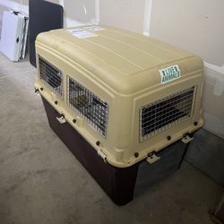 Airline-Approved Cargo Dog Kennel – Labeled Medium (Large Interior) – Used Once