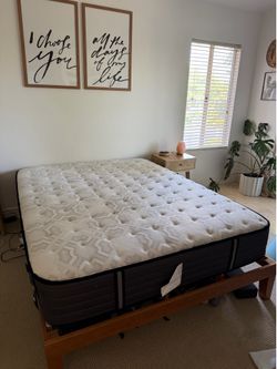 Queen Sealy Posturepedic Spring Firm Mattress