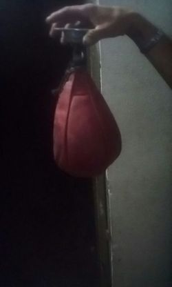 Speedbag