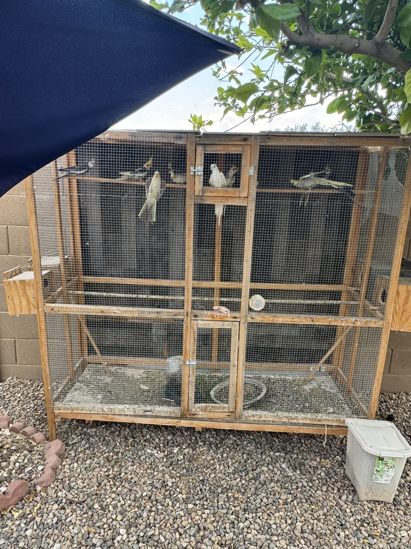 Bird Cage