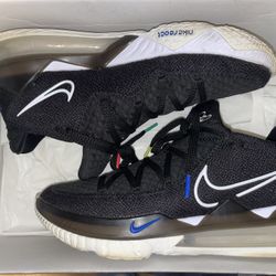 Lebron 17 low multi color