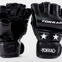 Gloves MMA Training 