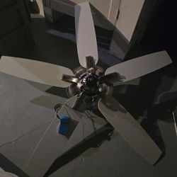 Ceiling Fan