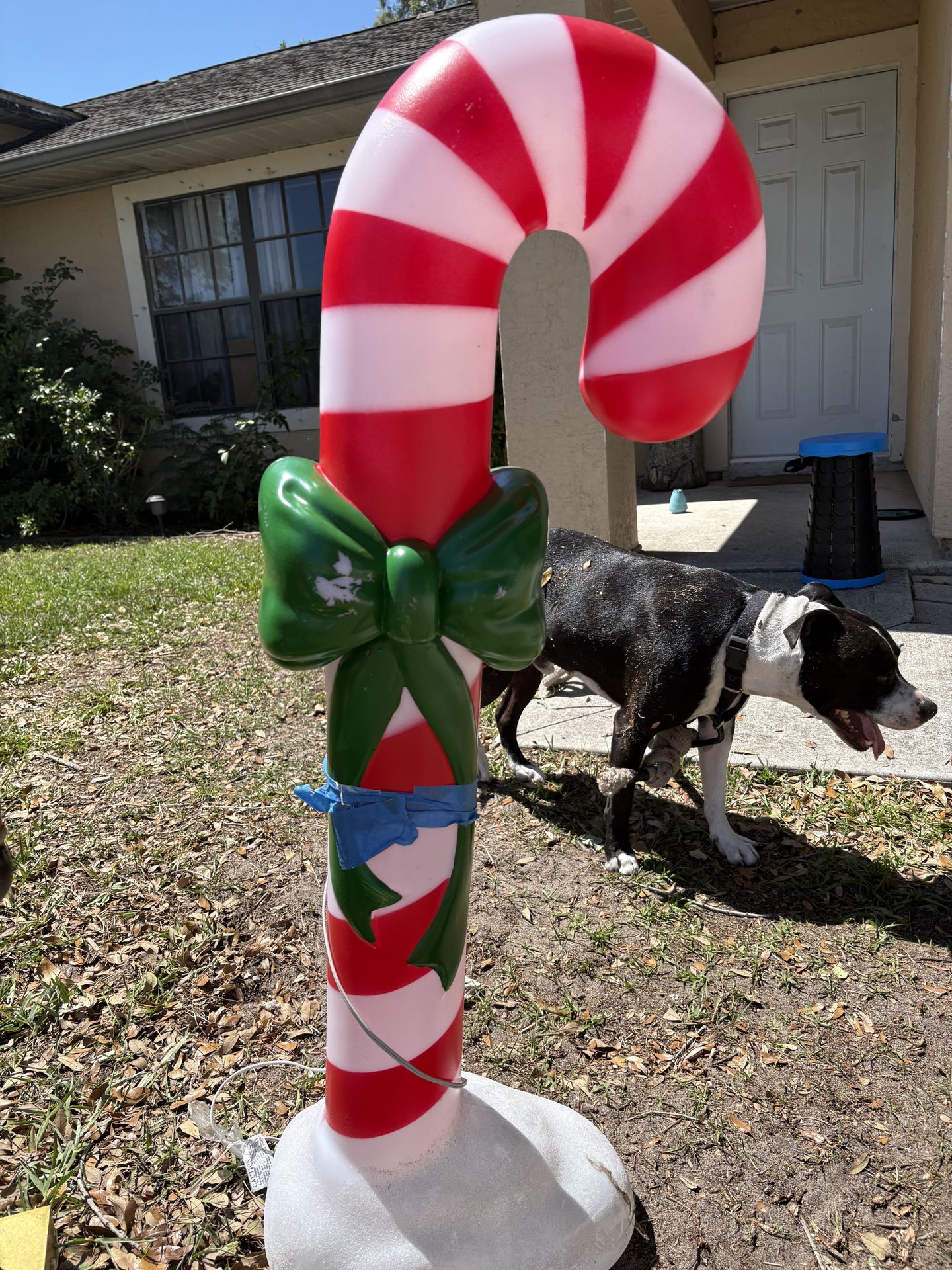 Christmas outside decorations