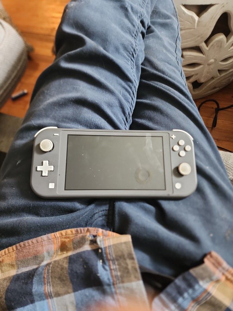 Nintendo Switch Lite