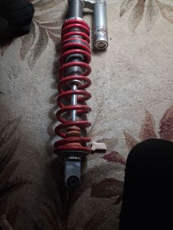 WALKER EVANS set of 2 shocks