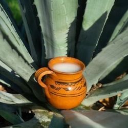 De Tlaxcala Huamantla Pulque Y AGUA MIEL