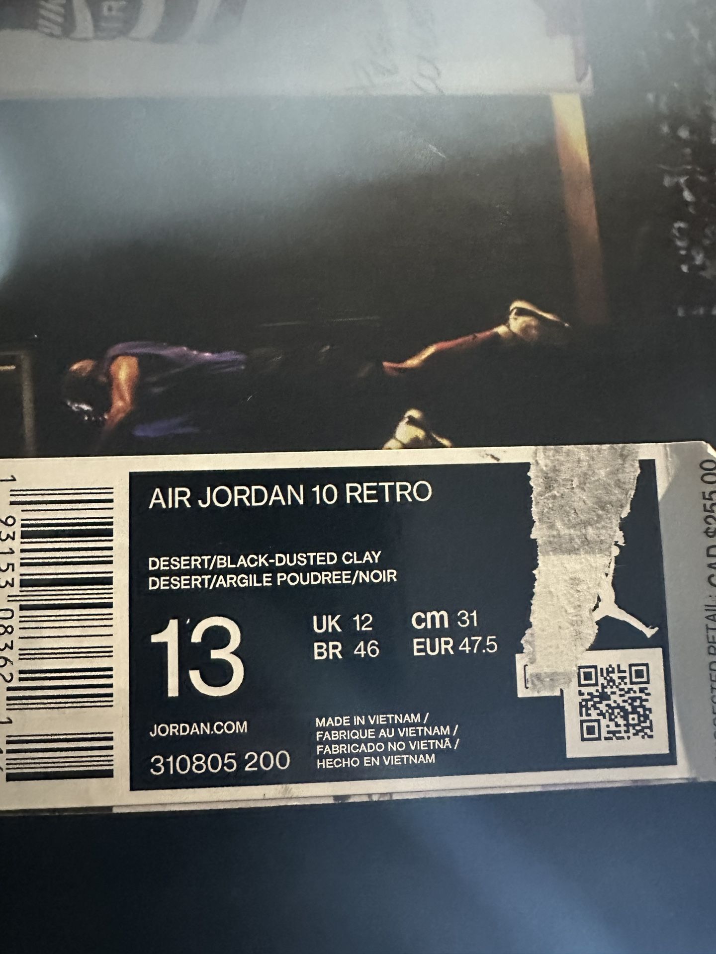 Jordan 10 Camo Sneaker