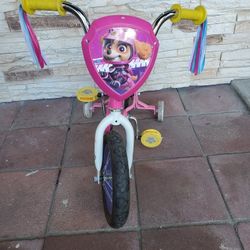 Toddler Bike 