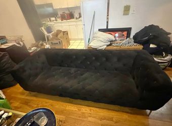 Black Velvet Couch 