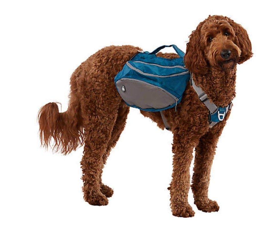 Dog Harness With Pouches