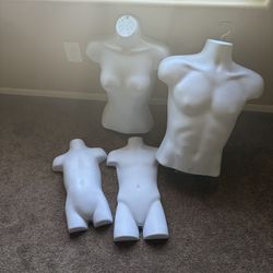 Torso mannequins