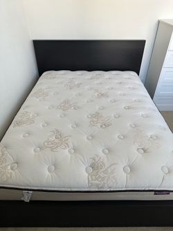 Queen Mattress