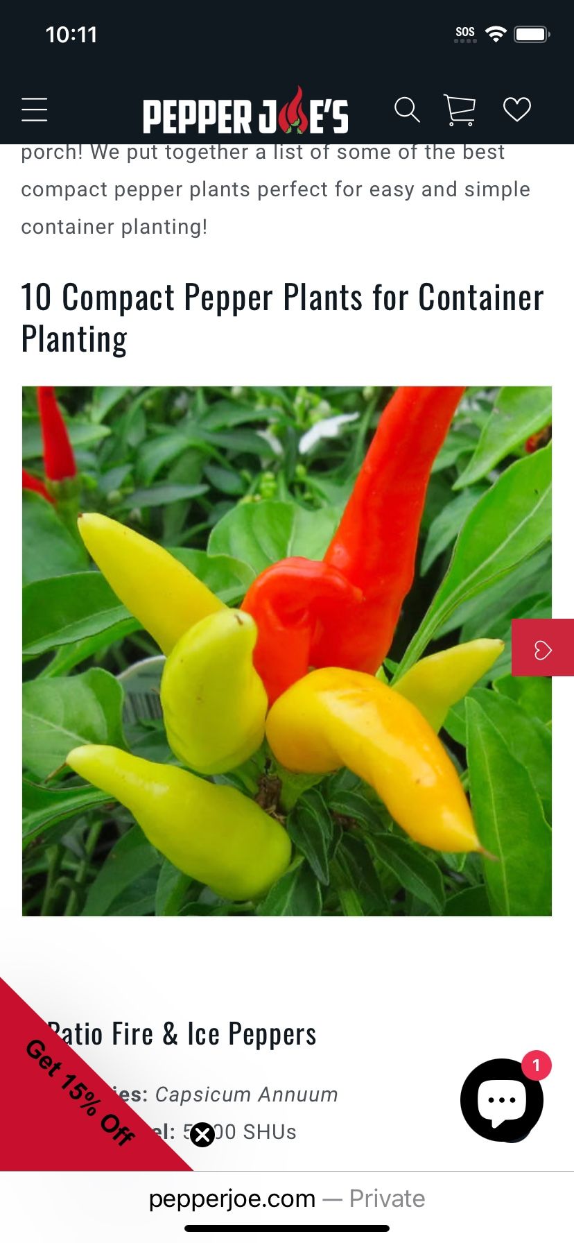 Mini Pepper Plants