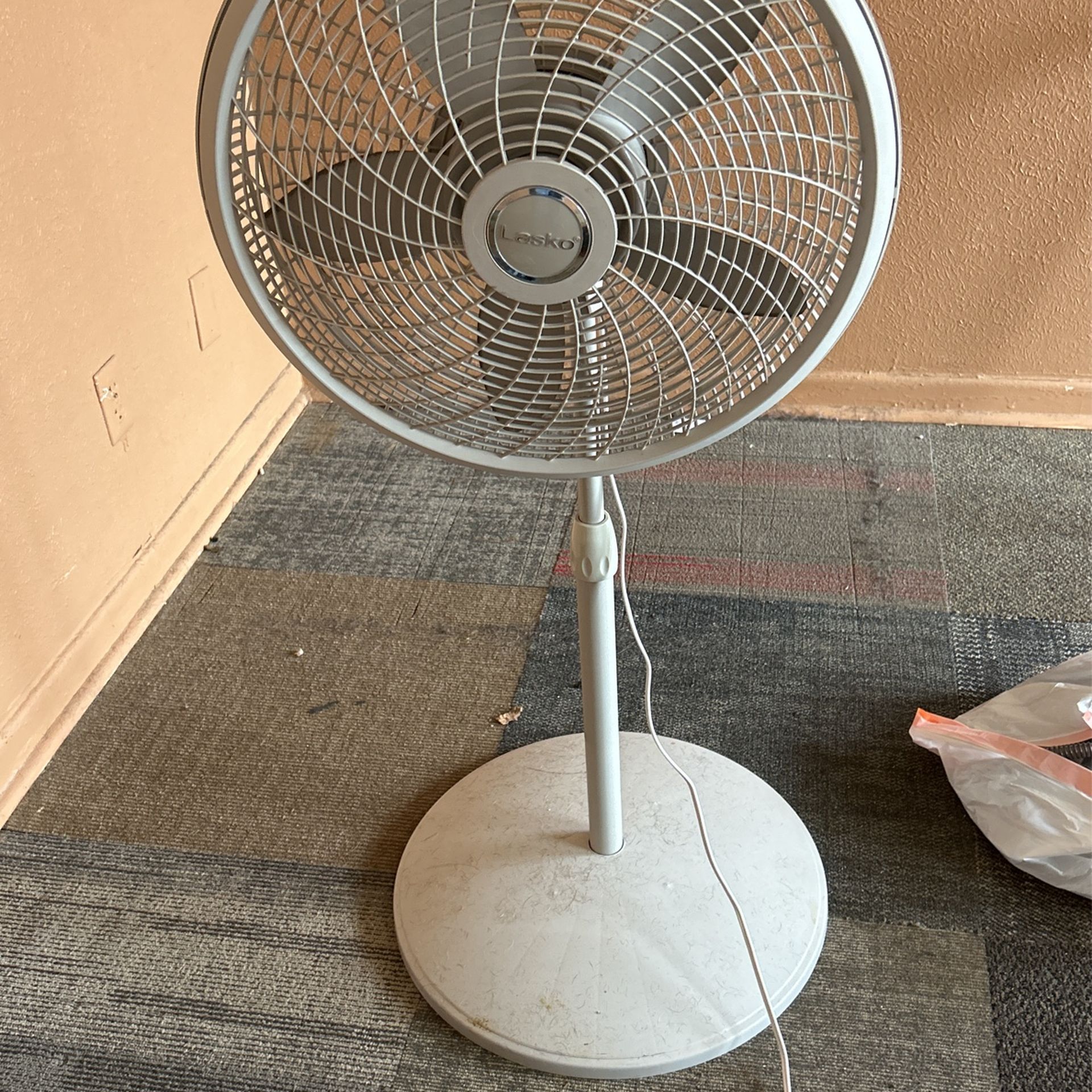Fan
