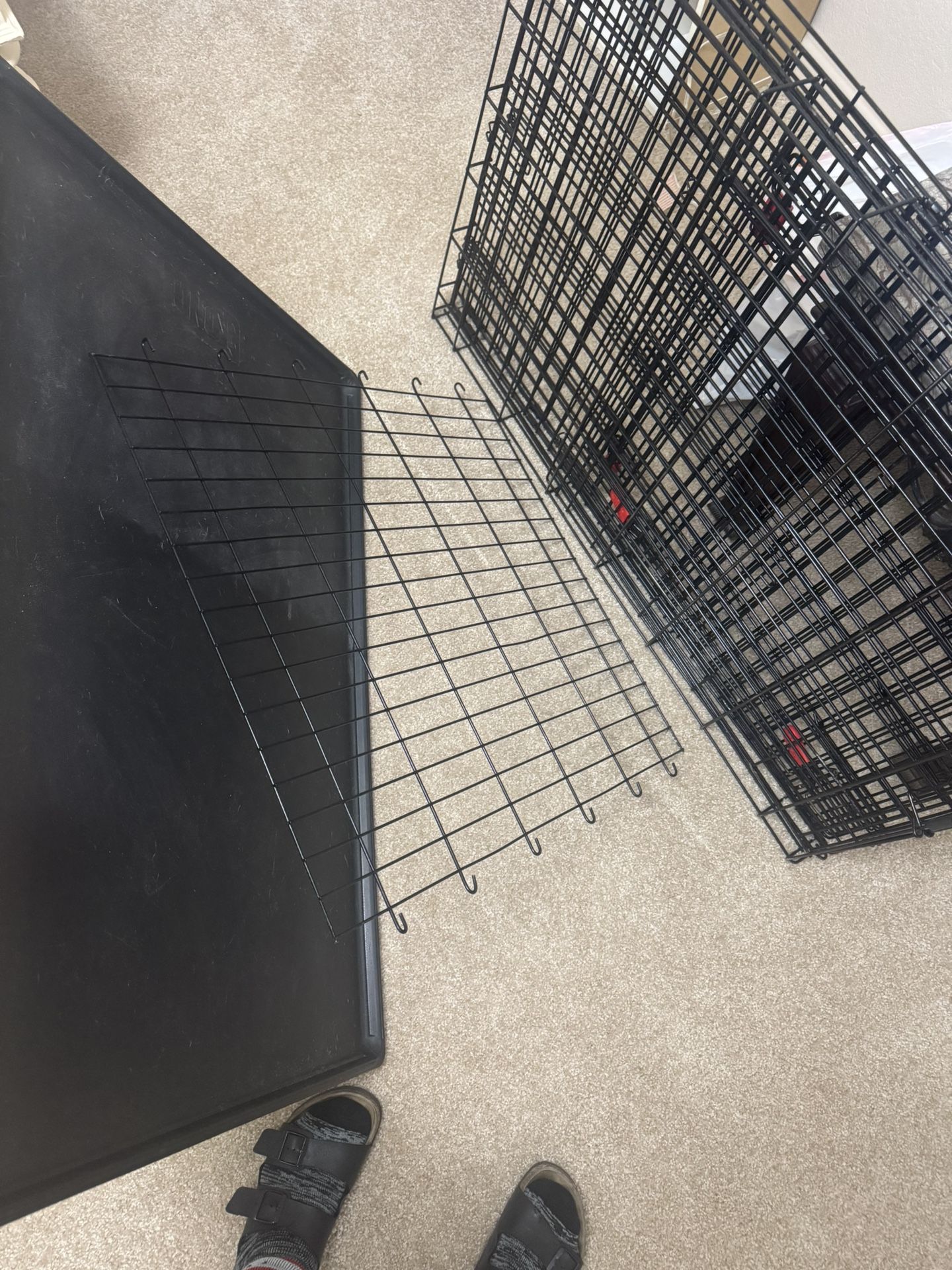 Large Sized Kennel
