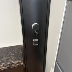 Gun Safe 