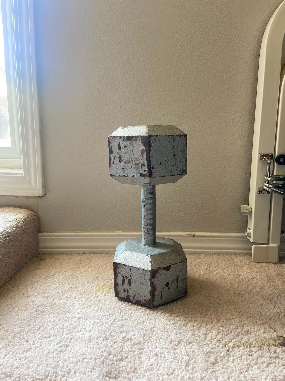 50 Pound Dumbbell Set Of 2