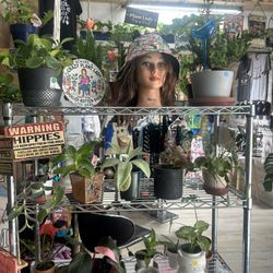 Welcome to A  Cozy Plant Lover’s Paradise!