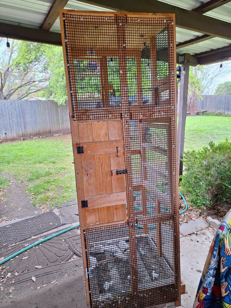 Bird Cage / Jaula