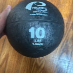 10lb Weight ball