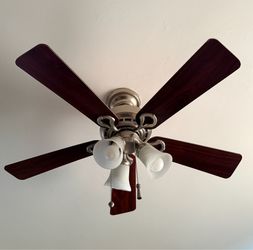 Ceiling fan