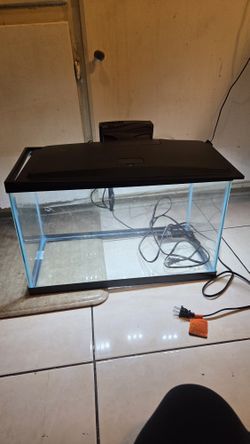 Aquarium 20x10 Inches