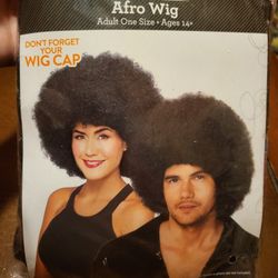 1 Halloween Afro Wig