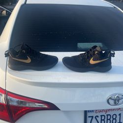 Nike Lebrons “WITNESS” Akron 330