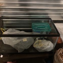 40 Gallon Salt Water Tank