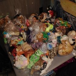 Beanie Baby Bundle 