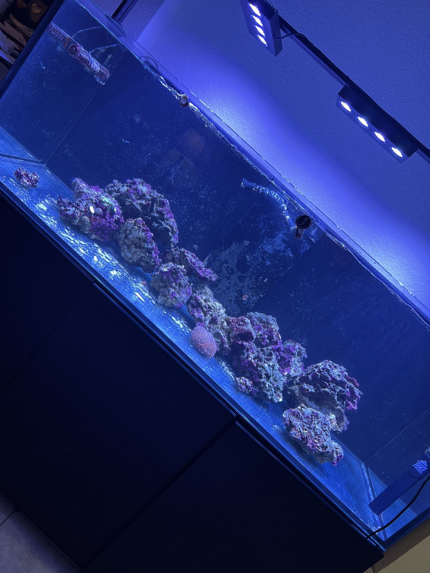 Red Sea Reefer750xxl