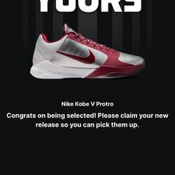 Kobe 5 Lower Merion Aces Away 