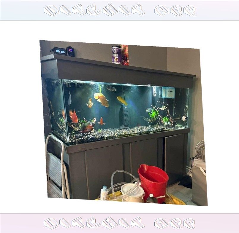 similar special High-Quality Aquarium System - Premium Standard Choice
