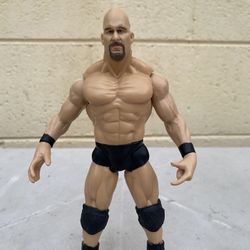 Wrestling Figure : Stone Cold Steve Austin