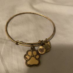 Alex And Ani Charm