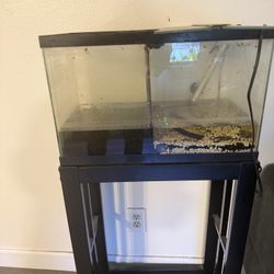 10 Gallon Fish Tank 
