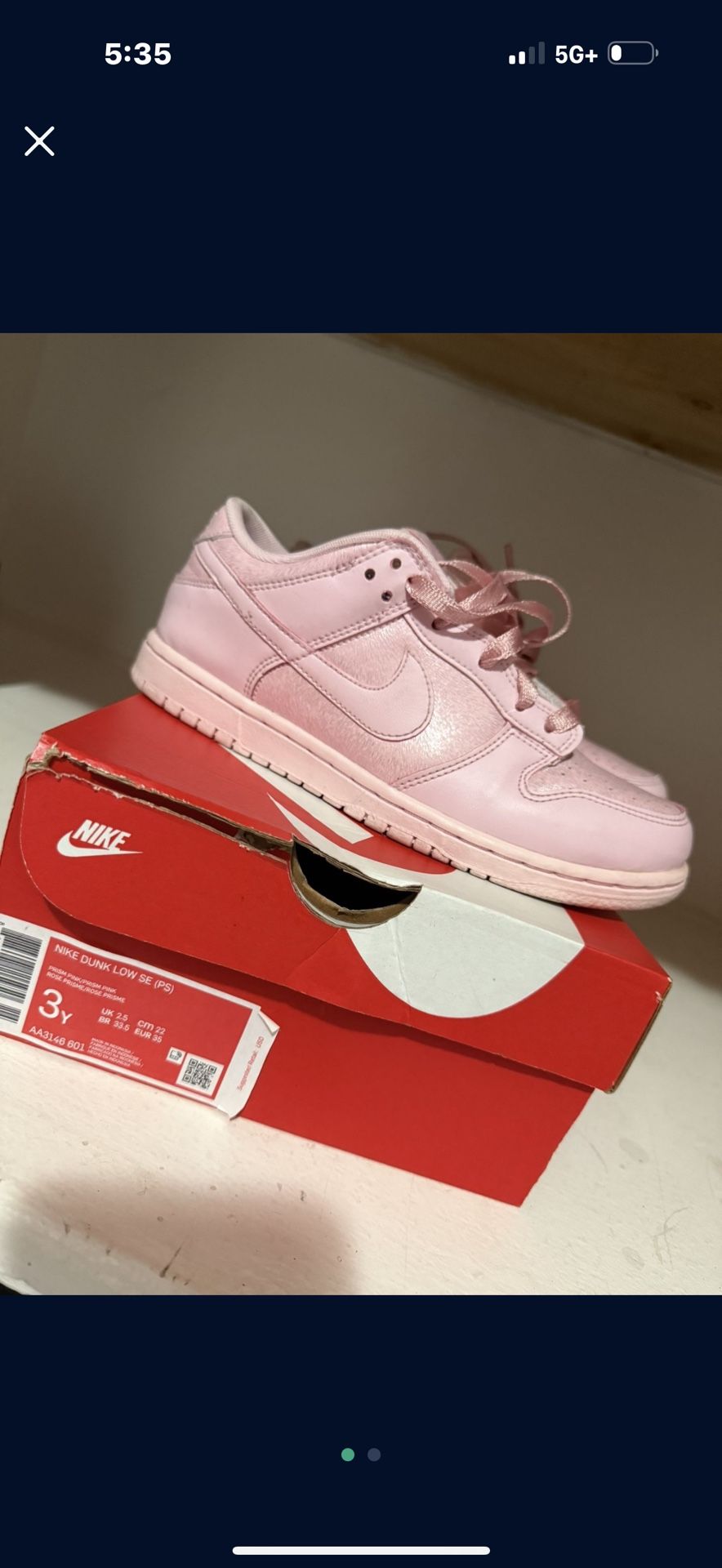 Nike Dunk 3y