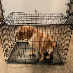 Dog Crate