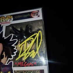 Sign Megumi Funko Pop